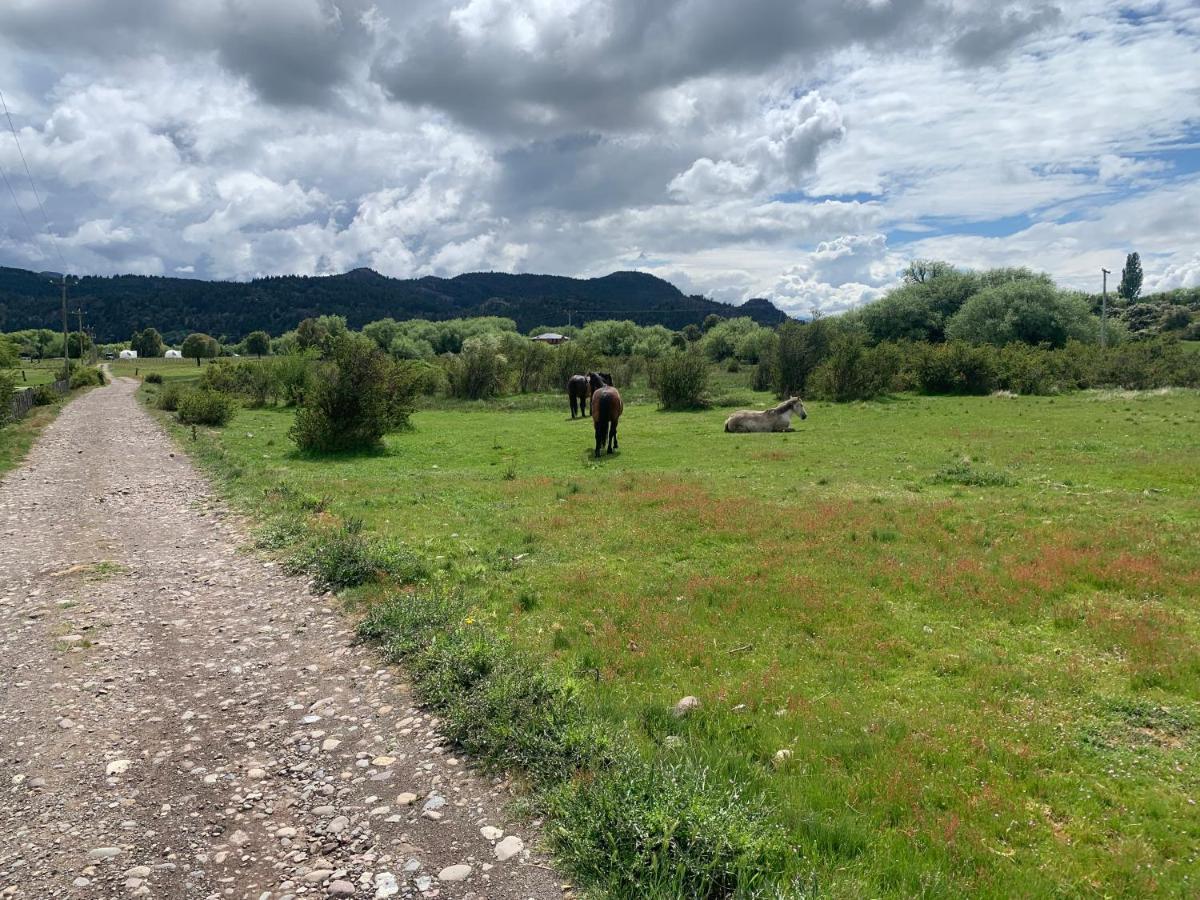 Nomade Patagonia Glamping & Domos Campsite